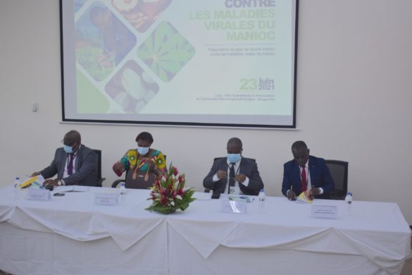 Atelier de présentation d'un plan de lutte contre les maladies virales du manioc 